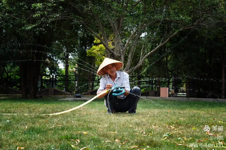 辛勤的园丁夫妻